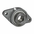 Iptci 2-Bolt Flange Ball Bearing Mounted Unit, 1.0625 in Bore, Eccentric Collar Locking SAFL206-17